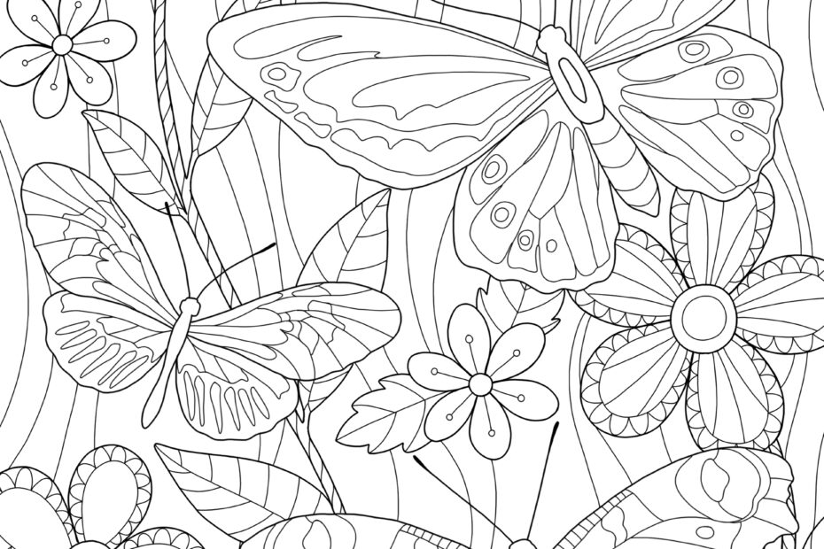 Free Butterfly Colouring In Activity Sheet Printables My XXX Hot Girl