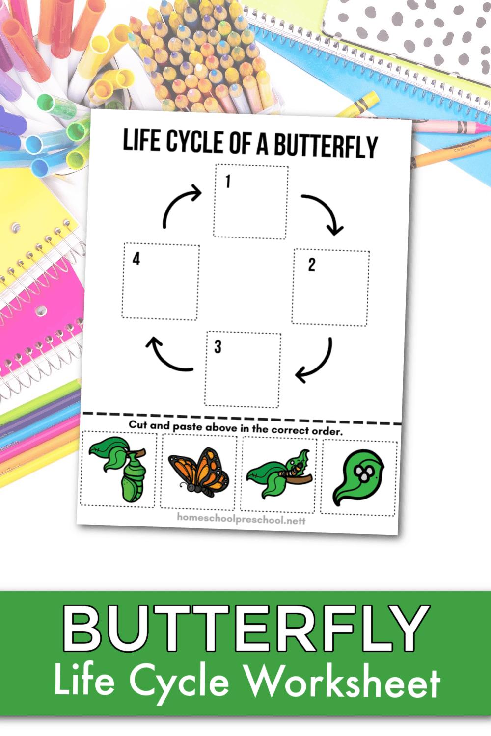 Butterfly Life Cycle Template Butterfly Life Cycle Template
