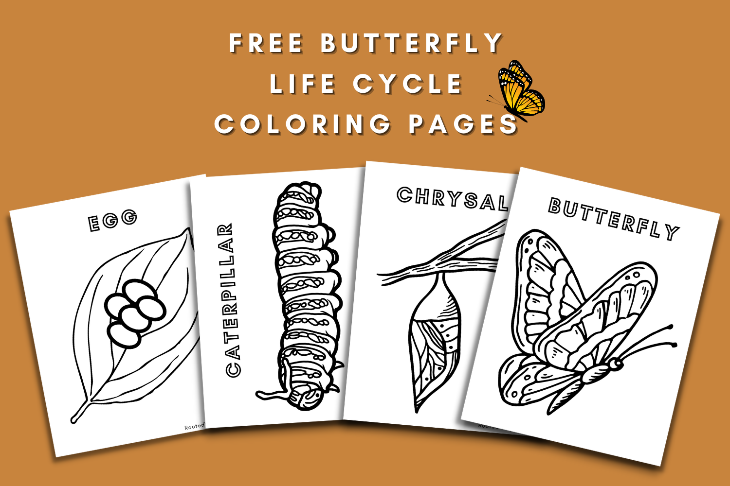 Free Butterfly Life Cycle Coloring Pages Rooted Wings Co Free Butterfly Life Cycle Coloring Pages Rooted Wings Co