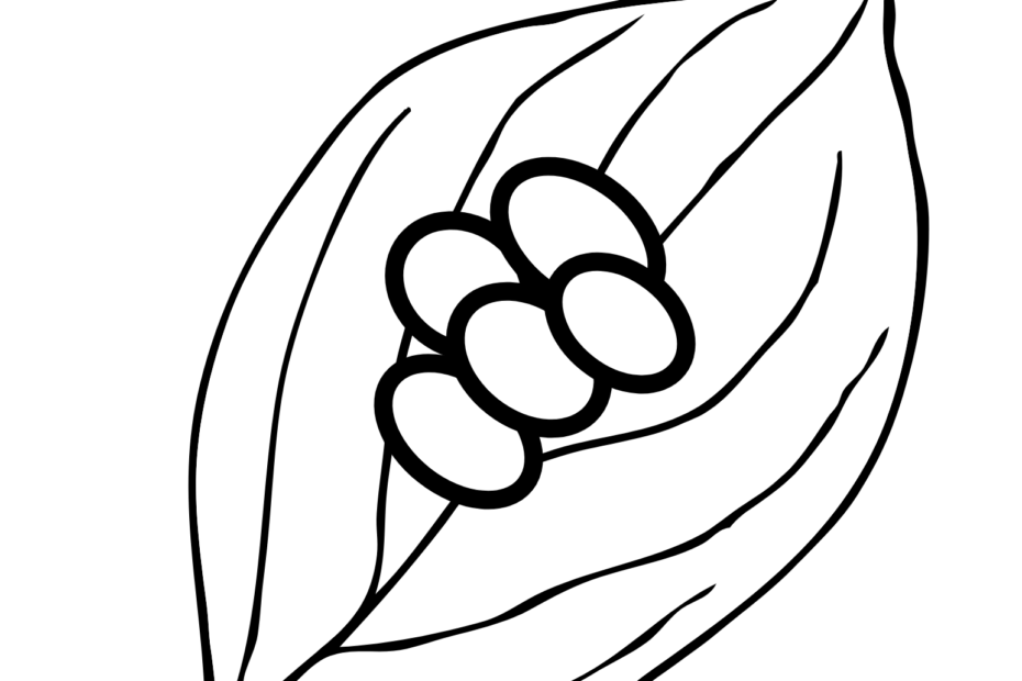 Free Butterfly Life Cycle Coloring Pages Rooted Wings Co Butterfly