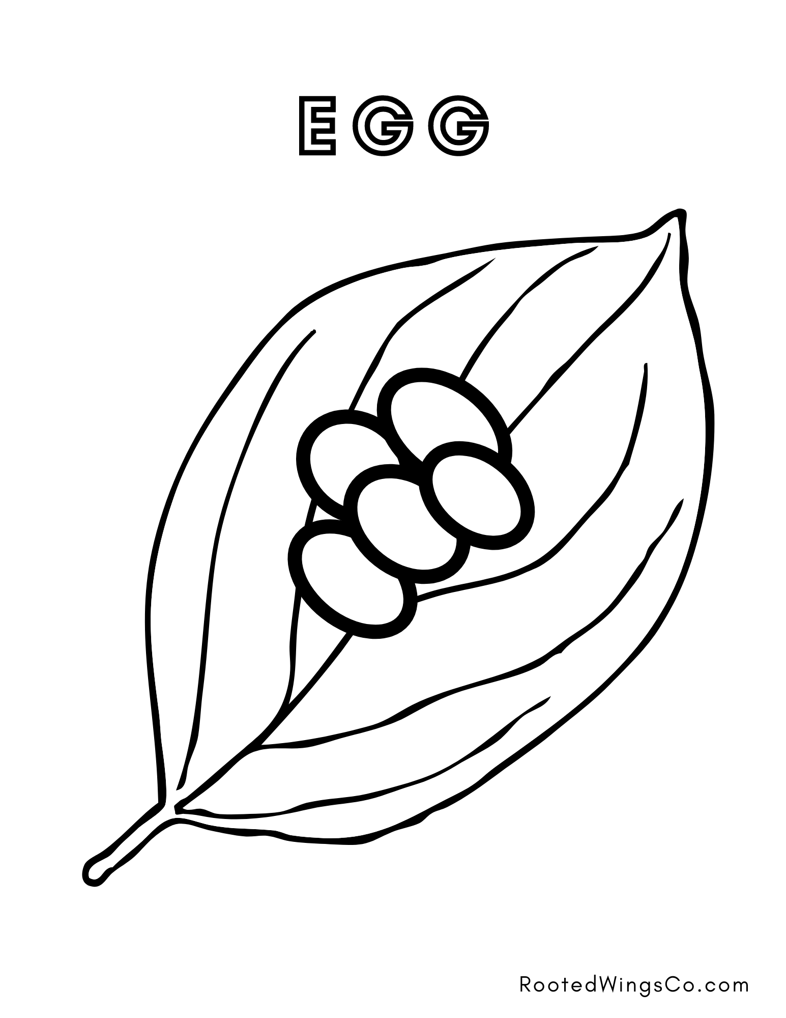 Free Butterfly Life Cycle Coloring Pages Rooted Wings Co Butterfly Free Butterfly Life Cycle Coloring Pages Rooted Wings Co Butterfly