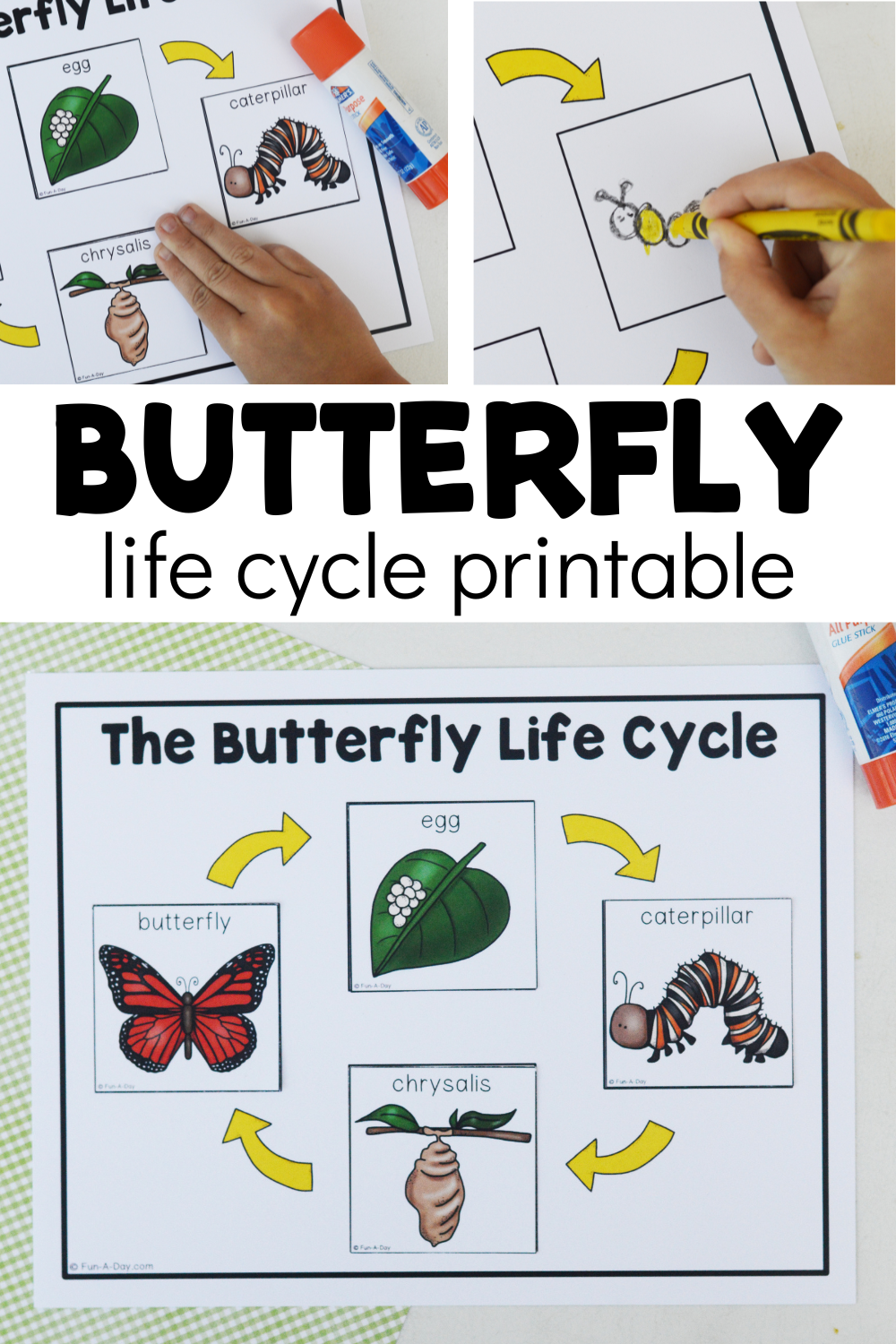 life cycle of a butterfly lesson plan life cycle of a butterfly lesson plan