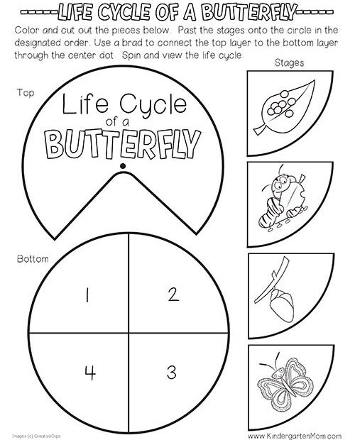Free Butterfly Life Cycle Printables This Set Includes A Colorful Li
