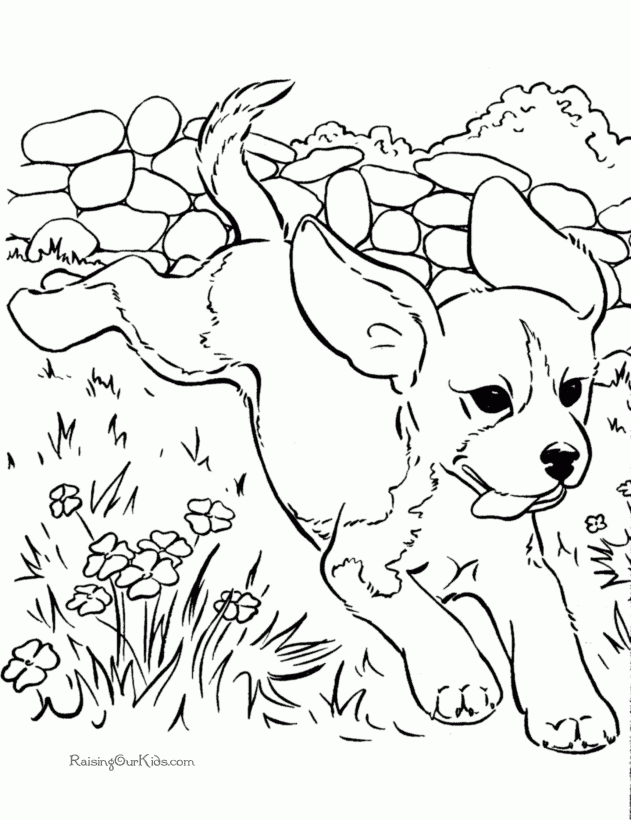 Free Coloring Pages Dogs Coloring Home Free Coloring Pages Dogs Coloring Home