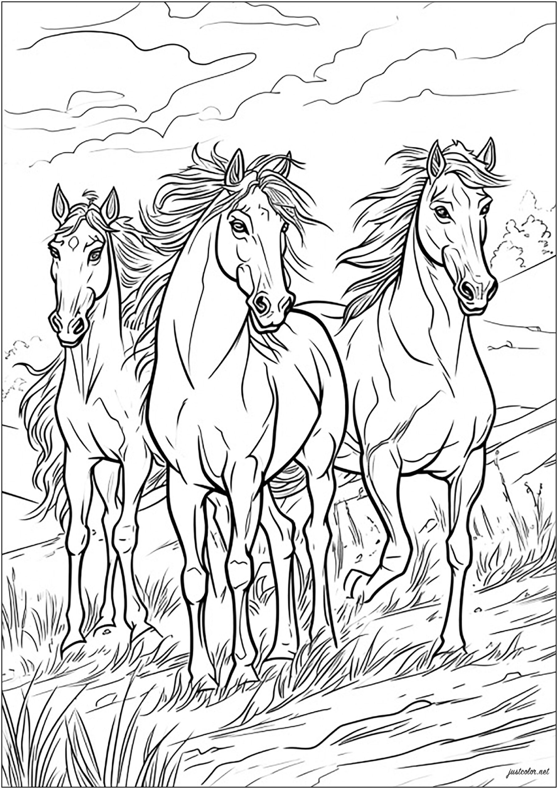 Free Coloring Pages Of Horses To Print Free Coloring Sheet Printables Free Coloring Pages Of Horses To Print Free Coloring Sheet Printables