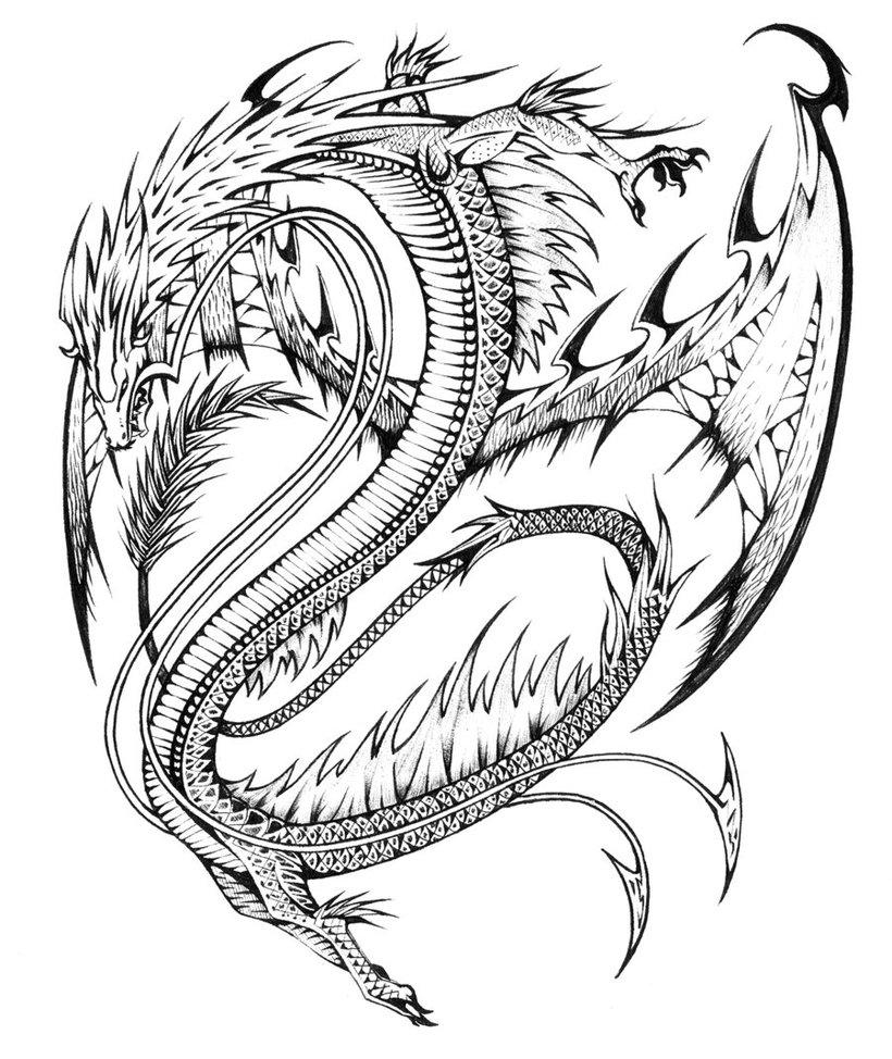 dragon coloring sheets free dragon coloring sheets free