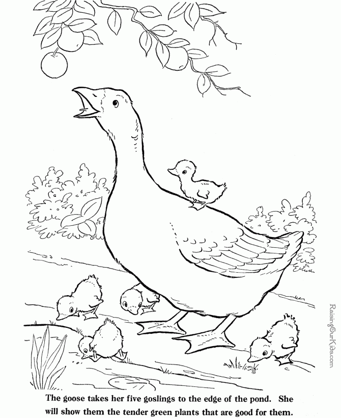 Free Farm Animal Coloring Sheets 027 Free Farm Animal Coloring Sheets 027