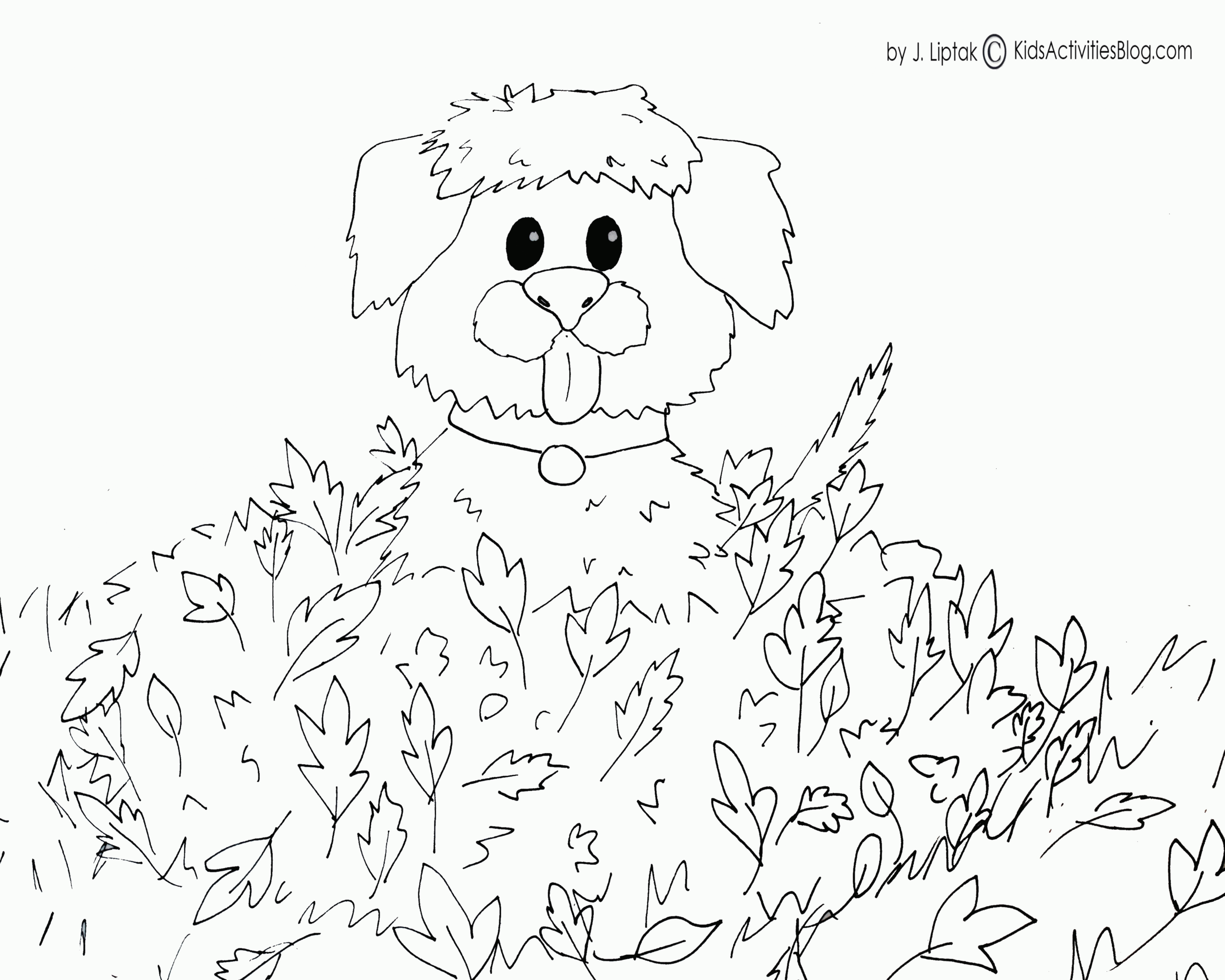 Free Free Fall Coloring Pages Printable Download Free Free Fall Free Free Fall Coloring Pages Printable Download Free Free Fall