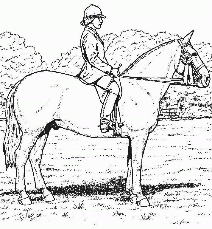 horse printable coloring pages horse printable coloring pages