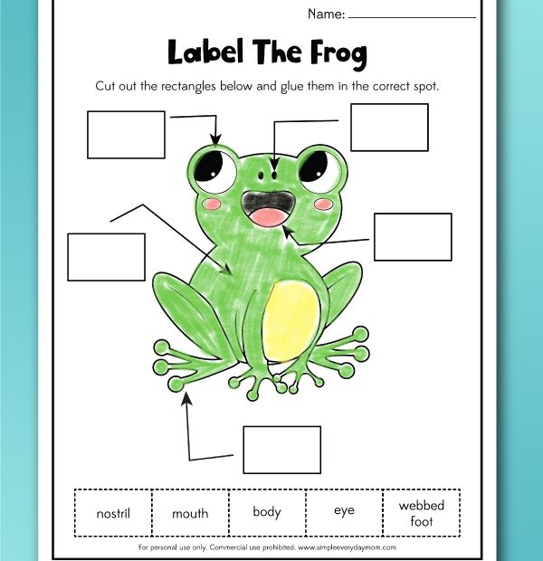 Free Frog Worksheets For Kids Worksheets Library