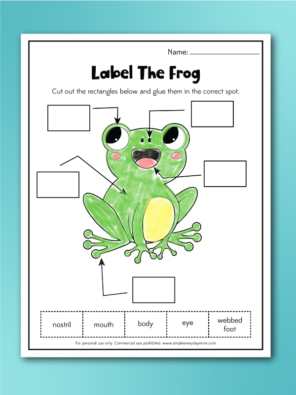 Free Frog Worksheets For Kids Worksheets Library Free Frog Worksheets For Kids Worksheets Library