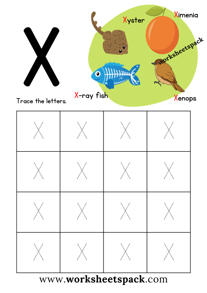 Free Letter X Printable Worksheets PDF Worksheetspack