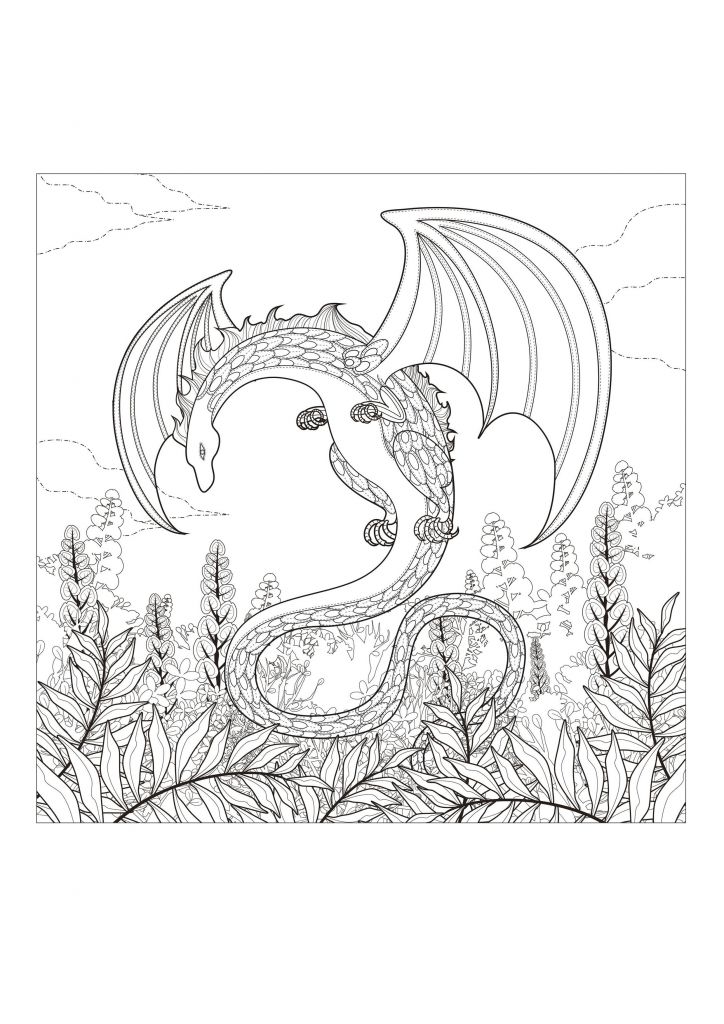 Free Online Dragon Coloring Pages BubaKids Free Online Dragon Coloring Pages BubaKids