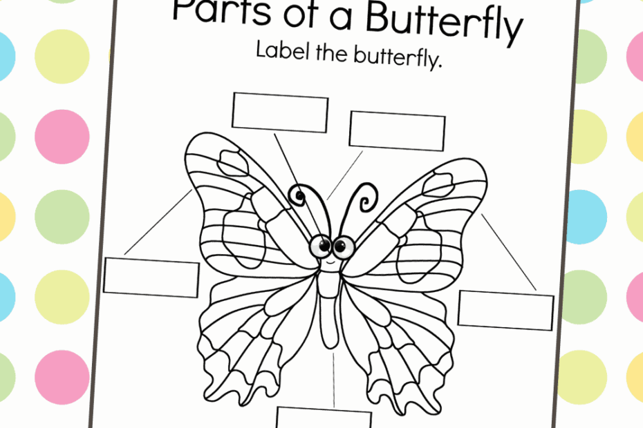 Free Parts Of A Butterfly Worksheet Fun Activities Butterfly Life