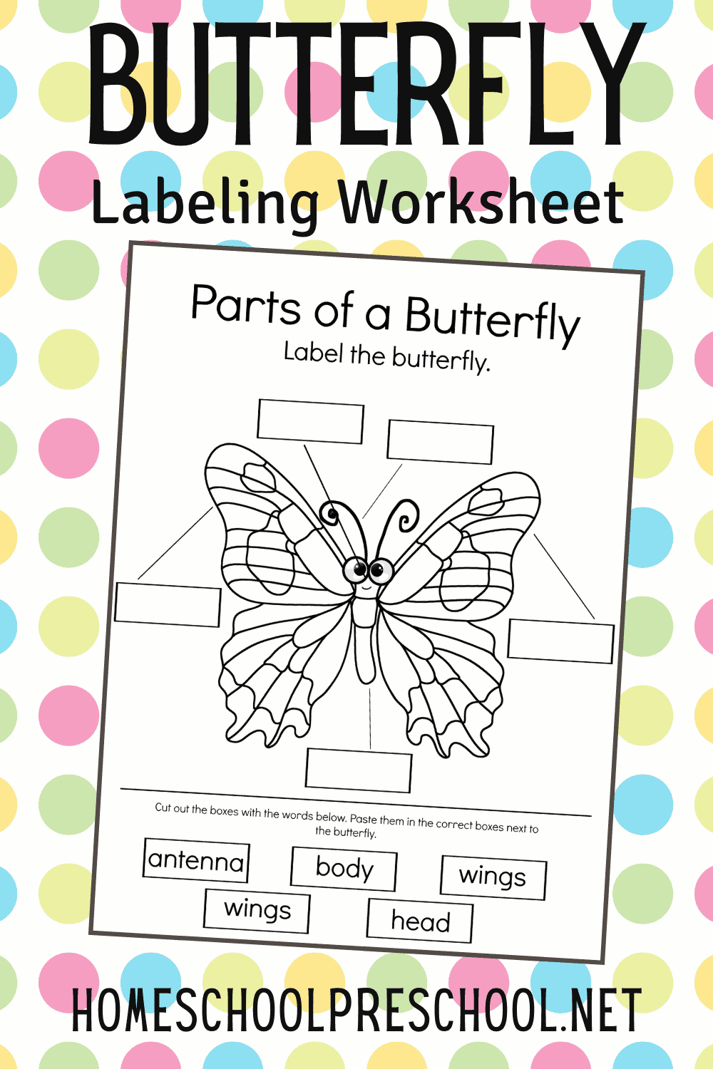 Free Parts Of A Butterfly Worksheet Fun Activities Butterfly Life Free Parts Of A Butterfly Worksheet Fun Activities Butterfly Life