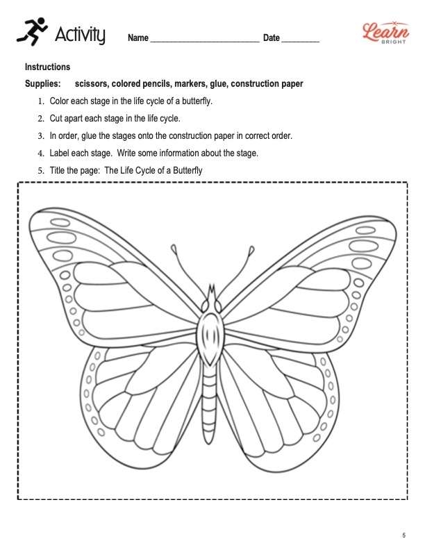 Butterfly Worksheets Printable Butterfly Worksheets Printable