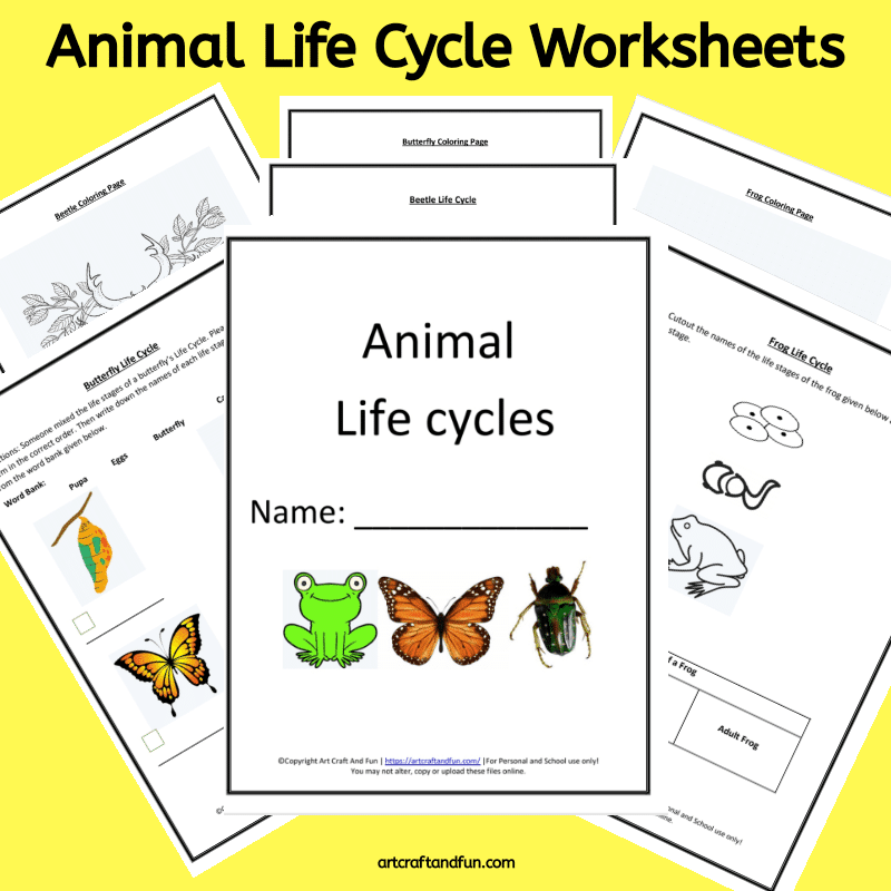 Free Printable Animal Life Cycle Worksheets Free Printable Animal Life Cycle Worksheets