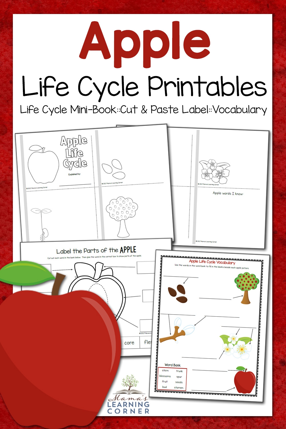Free Printable Apple Tree Life Cycle Worksheet Free Printable Apple Tree Life Cycle Worksheet