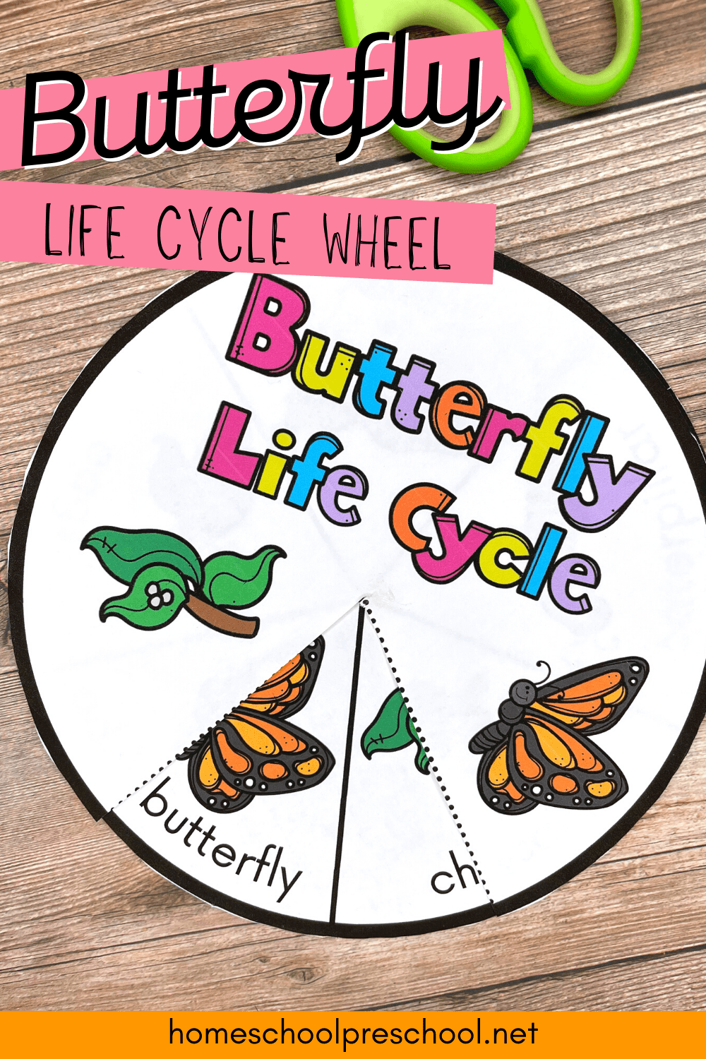 Butterfly Life Cycle Wheel Butterfly Life Cycle Wheel