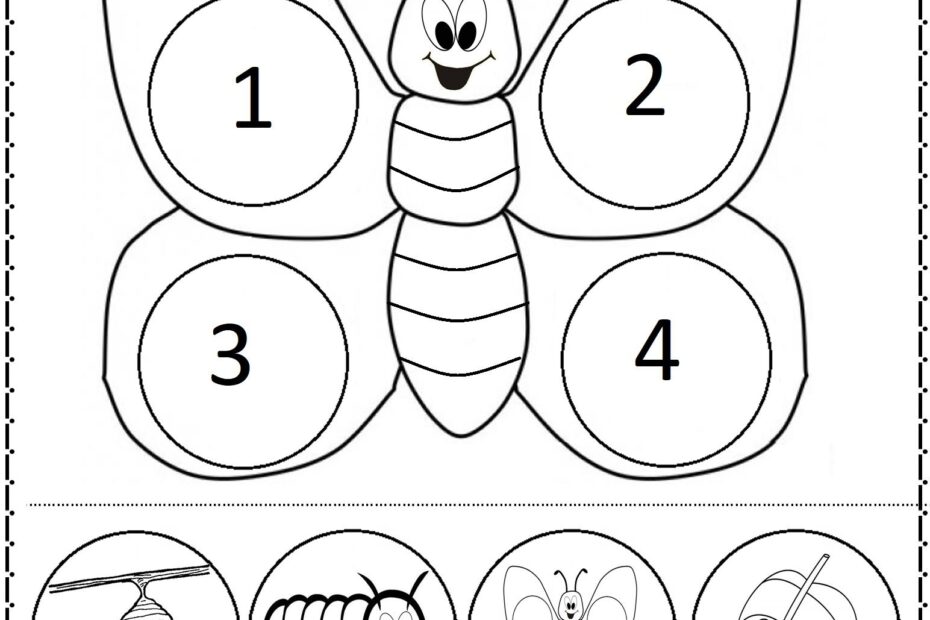 Free Printable Butterfly Life Cycle Worksheet