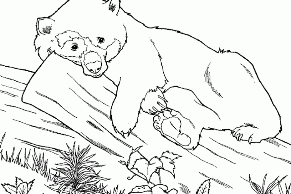 Free Printable Coloring Pages Of Animals Coloring Home