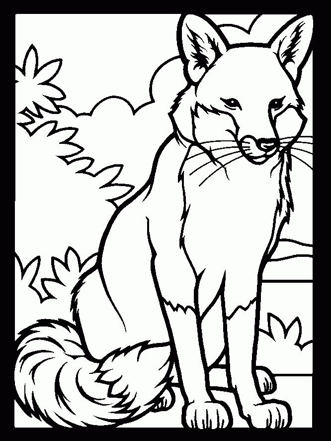 Free Printable Coloring Pages Of Animals Coloring Home Free Printable Coloring Pages Of Animals Coloring Home