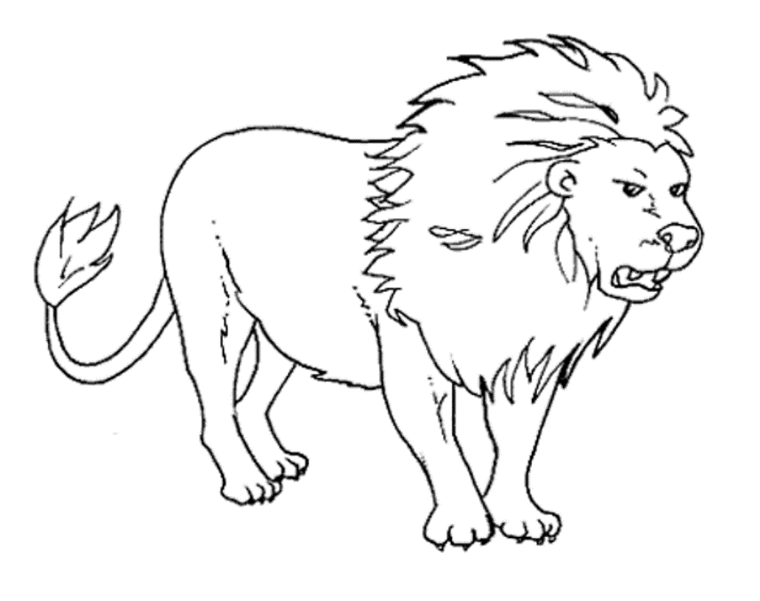 Free Printable Coloring Pages Of Animals Coloring Home Free Printable Coloring Pages Of Animals Coloring Home