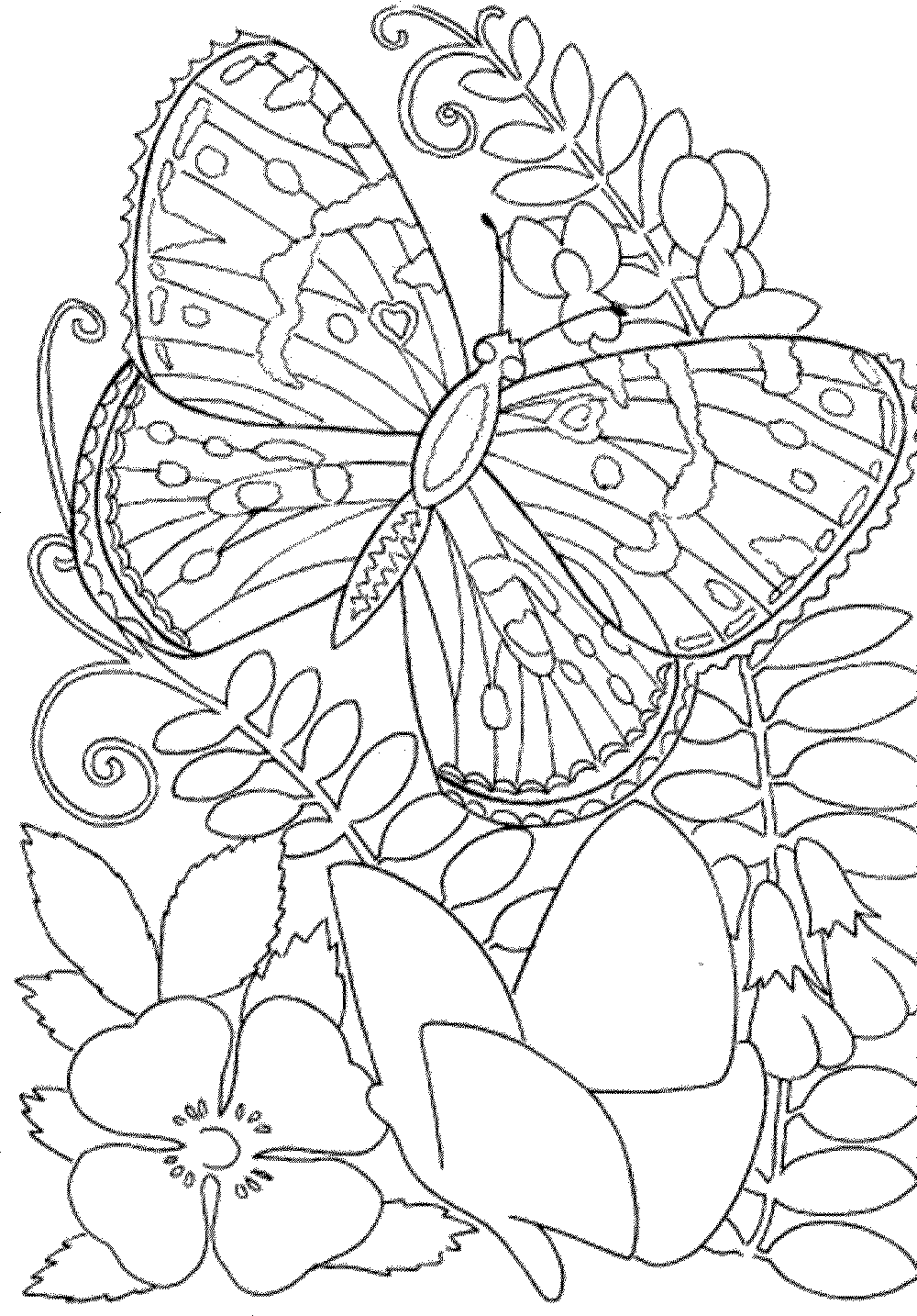 free coloring sheets free coloring sheets