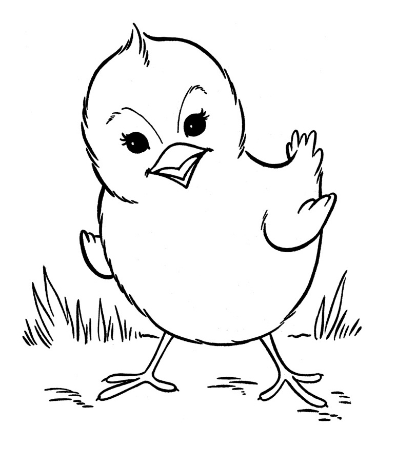 Free Printable Farm Animal Coloring Pages For Kids Free Printable Farm Animal Coloring Pages For Kids