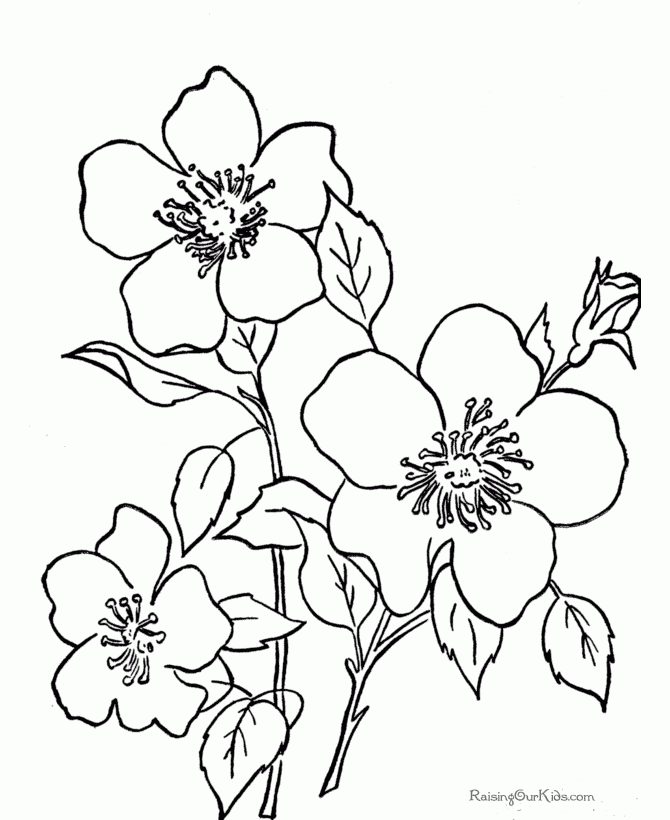 Free Printable Flower Coloring Pages Coloring Home Free Printable Flower Coloring Pages Coloring Home