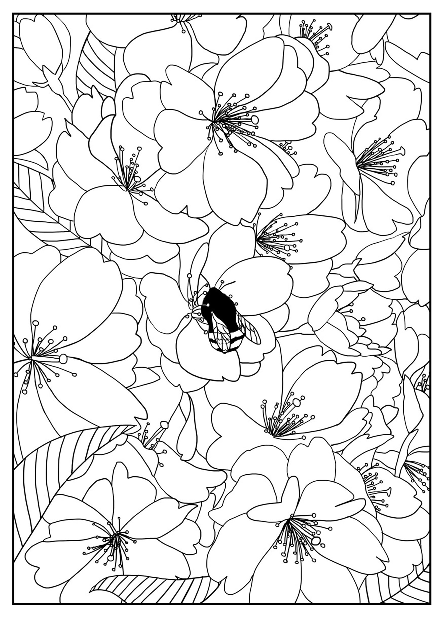 Free Printable Flower Coloring Pages For Kids Best Coloring Pages For Free Printable Flower Coloring Pages For Kids Best Coloring Pages For
