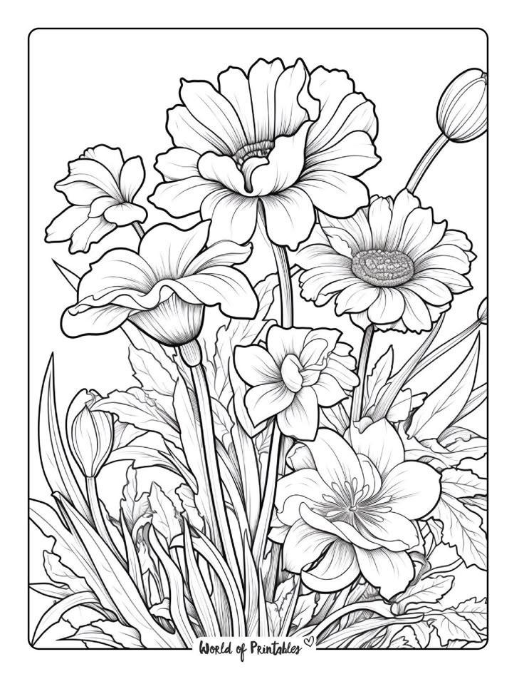 Free Printable Flower Coloring Sheets Free Printable Flower Coloring Sheets
