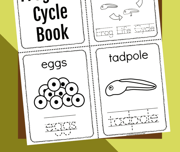 Free Printable Frog Life Cycle Book For Preschoolers