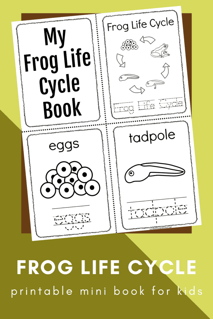Free Printable Frog Life Cycle Book For Preschoolers Free Printable Frog Life Cycle Book For Preschoolers