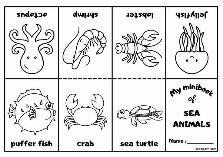 Free Printable Minibook Coloring Sea Animals For Kids