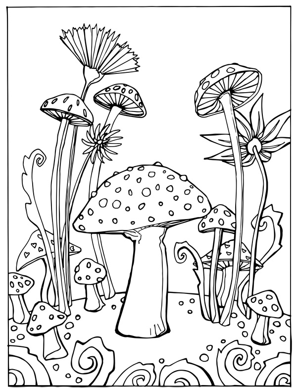 free mushroom coloring pages printable free mushroom coloring pages printable