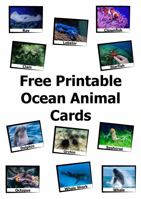 Free Printable Ocean Animal Pictures Download Free Printable Ocean Free Printable Ocean Animal Pictures Download Free Printable Ocean