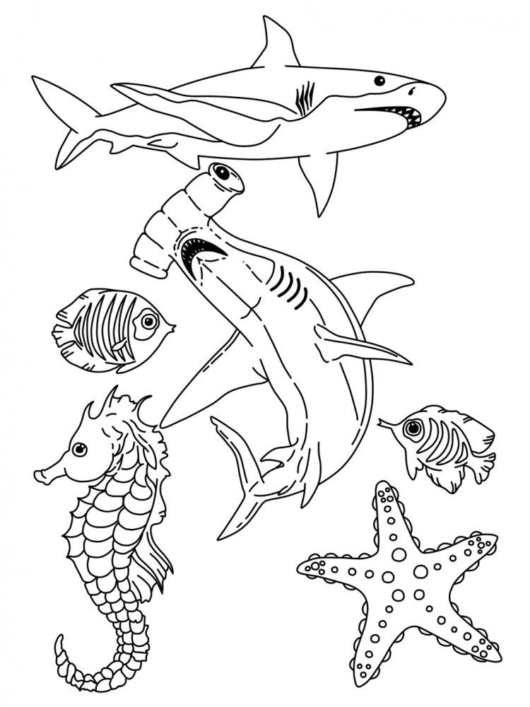 Free Printable Ocean Animal Printables Free Printable Ocean Animal Printables