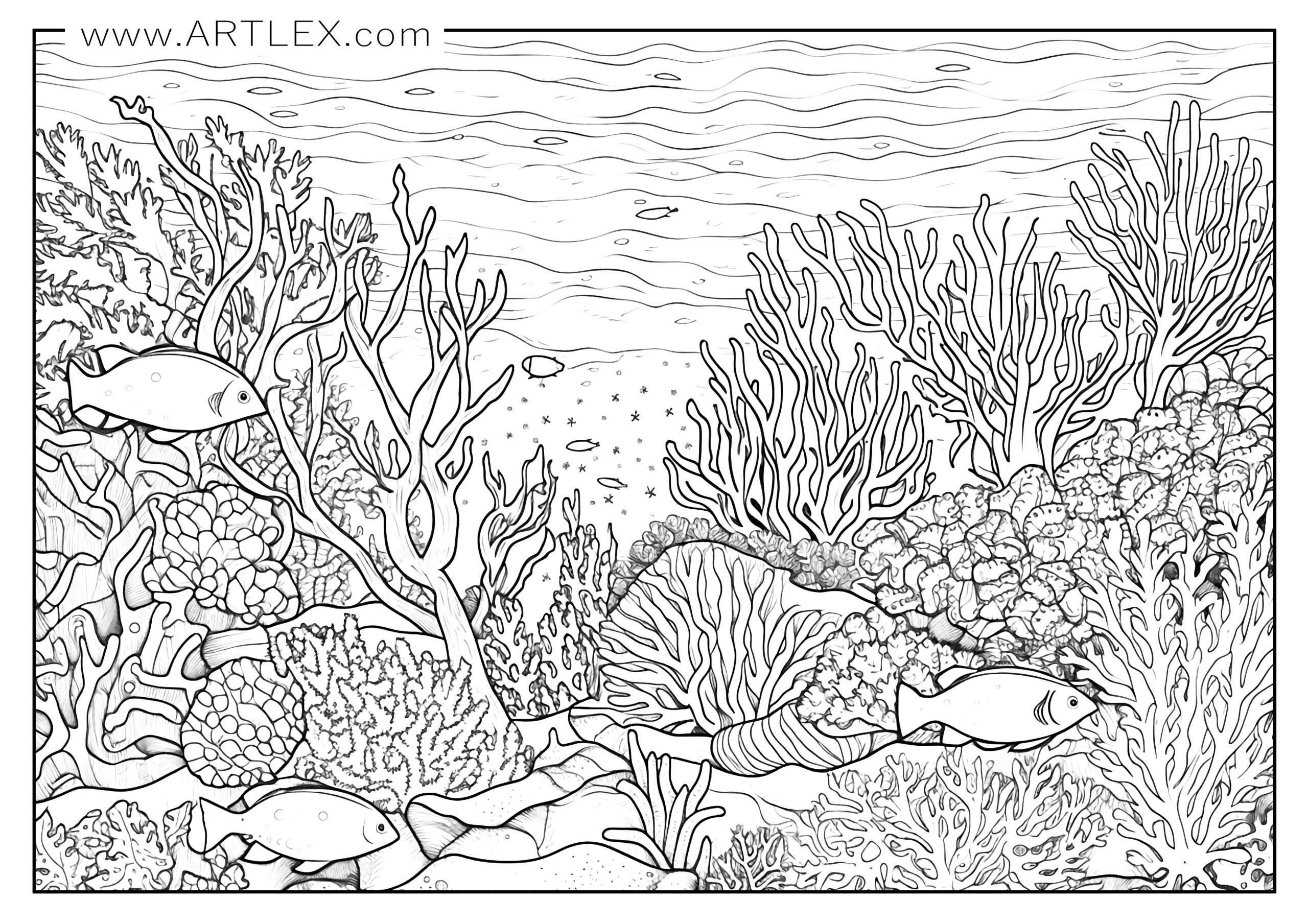 Free Printable Ocean Coloring Download It From Ocean 54 OFF Free Printable Ocean Coloring Download It From Ocean 54 OFF