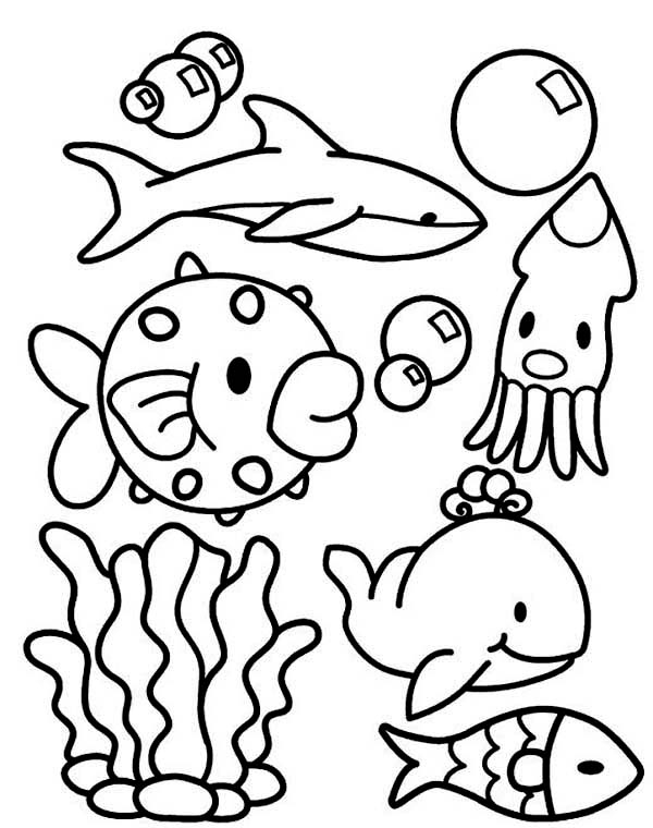 Free Printable Ocean Coloring Pages For Kids Free Printable Ocean Coloring Pages For Kids