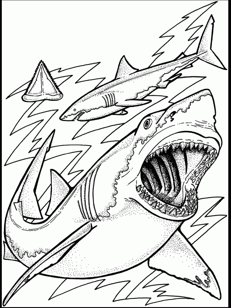 Ocean Coloring Pages Ocean Coloring Pages