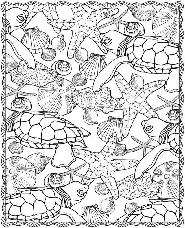 Free Printable Ocean Coloring Pages For Kids Free Printable Ocean Coloring Pages For Kids