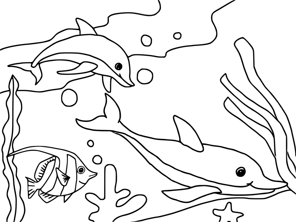 ocean animal coloring pages ocean animal coloring pages