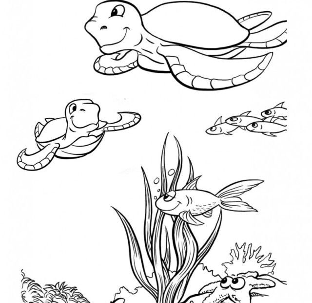 Free Printable Pictures Of Sea Turtles Download Free Printable