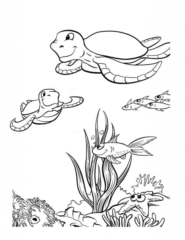 Free Printable Pictures Of Sea Turtles Download Free Printable Free Printable Pictures Of Sea Turtles Download Free Printable