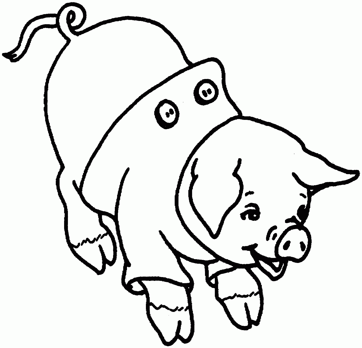 Free Printable Pig Coloring Pages For Kids Free Printable Pig Coloring Pages For Kids