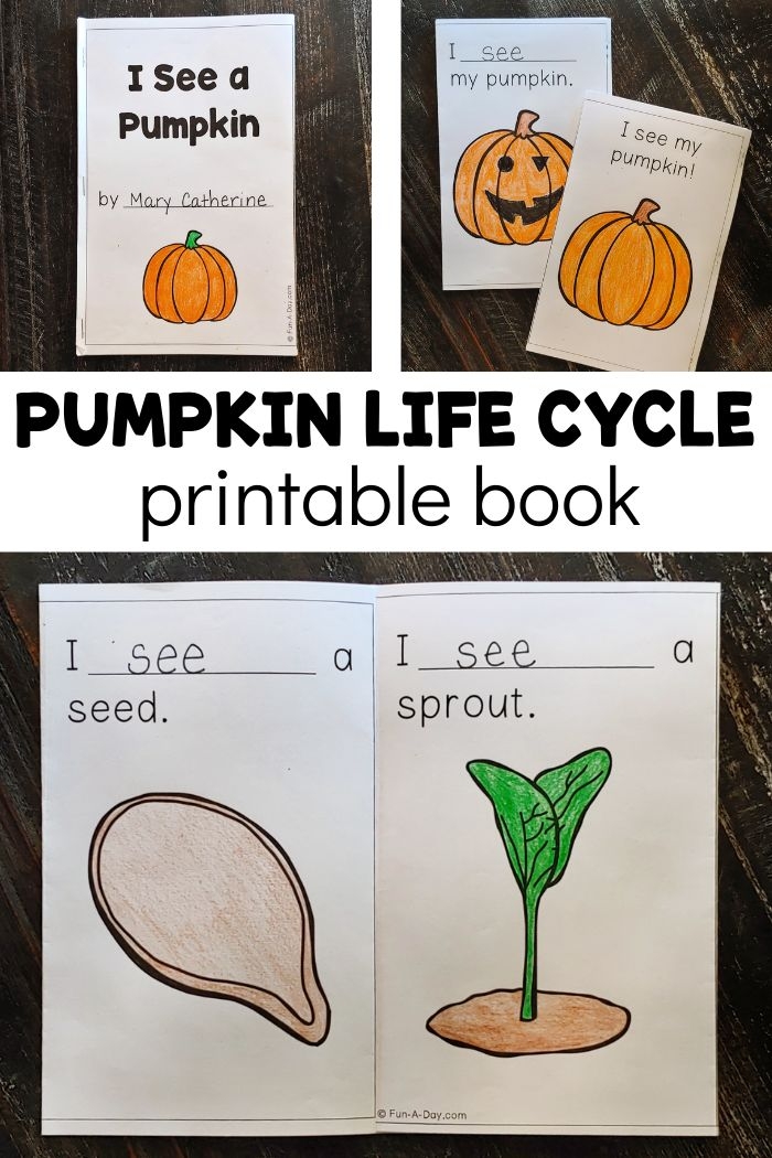 Free Printable Pumpkin Life Cycle Printable New Year Banners