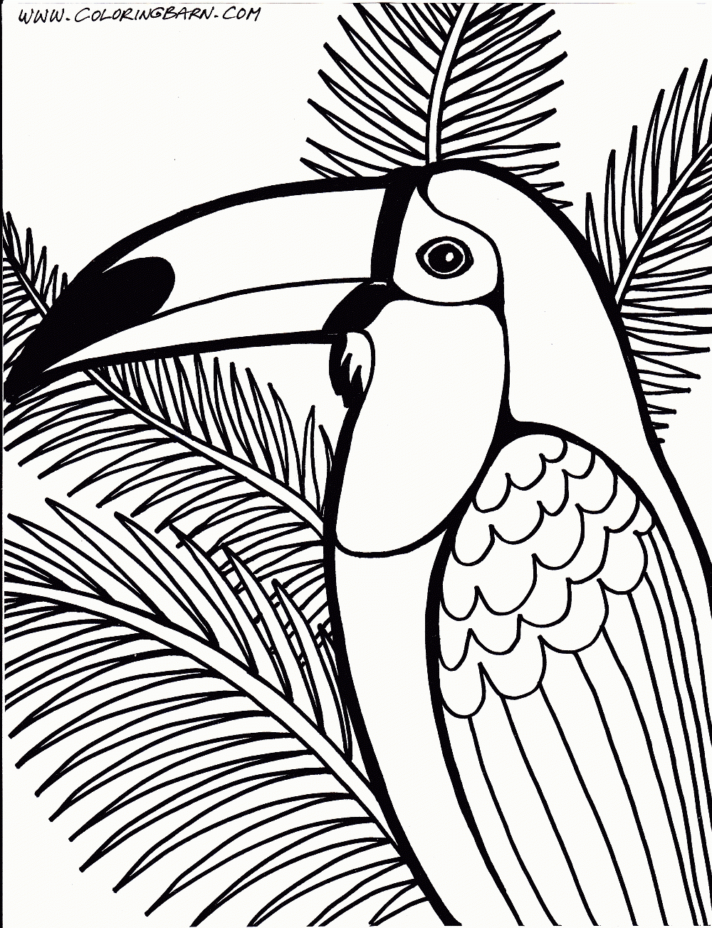 Free Printable Rainforest Coloring Pages Coloring Home Free Printable Rainforest Coloring Pages Coloring Home