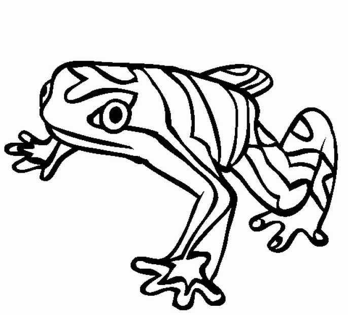 Free Printable Rainforest Coloring Pages Coloring Home