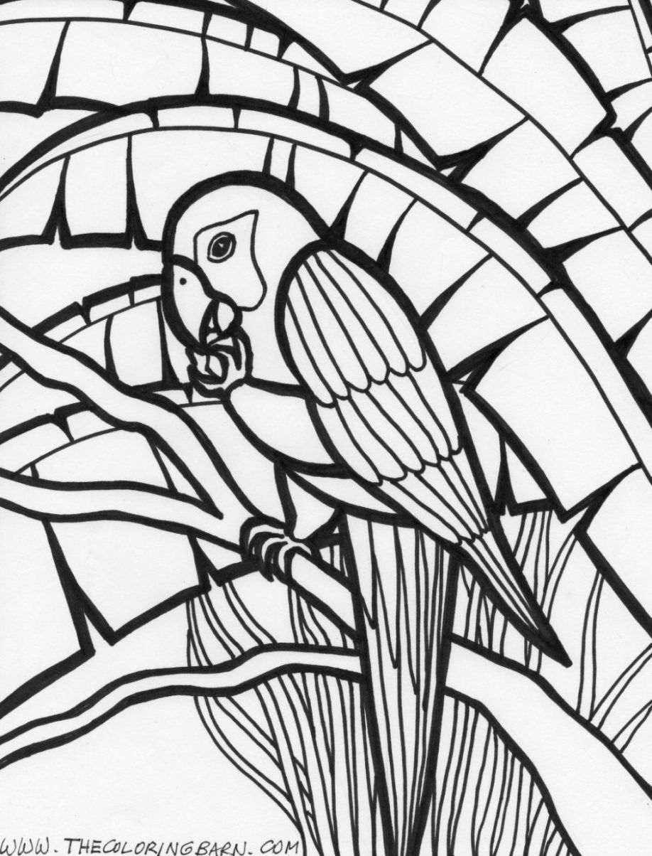 Free Printable Rainforest Coloring Pages Coloring Home Free Printable Rainforest Coloring Pages Coloring Home